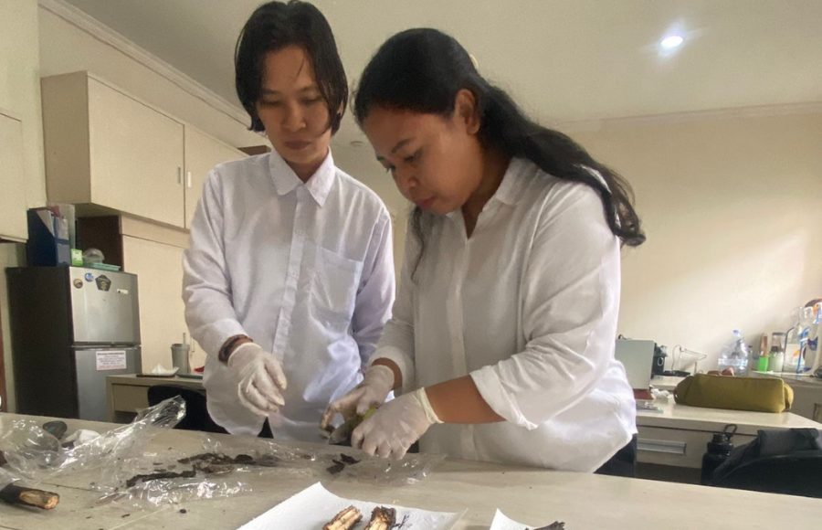 Ratusan Mangrove Mati di Benoa, Tim Peneliti Unud Pastikan Tercemar Solar