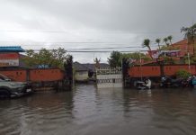 SDN 4 Sanur Kebanjiran, Siswa Belajar Daring