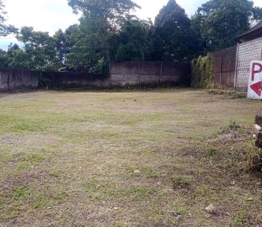 Antisipasi Membeludaknya Kendaraan Pamedek IBTK, BP Besakih Siapkan Kantong Parkir Pribadi