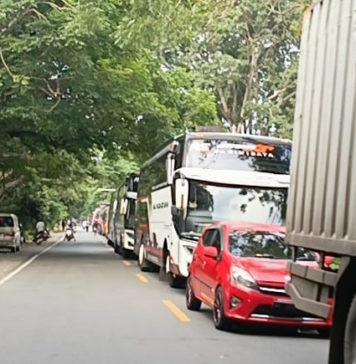 Antrean Menuju Gilimanuk Capai 24 Jam! Ratusan Ribu Orang Tinggalkan Bali