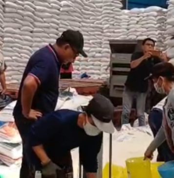 Banyak Gabah Petani Digiling di Luar Bali, Adi Wiryatama: Rice Milling Modern Tak Bisa Ditunda