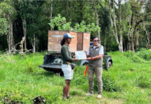 Delapan Ekor Satwa Hasil Sitaan Dilepasliarkan di Buyan–Tamblingan