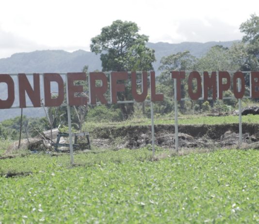 Desa BRILiaN Tompobulu: Bukti Nyata Sinergi Potensi Lokal dan Digitalisasi Dorong Pertumbuhan Ekonomi Berkelanjutan