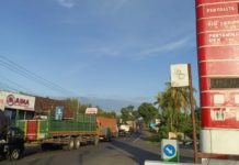 Dipicu Sopir Ketiduran hingga Kendaraan Rusak, Antrean ke Pelabuhan Gilimanuk Mengular Capai 25 Km