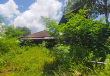 Eks Taman Penitipan Anak Tertutup Semak