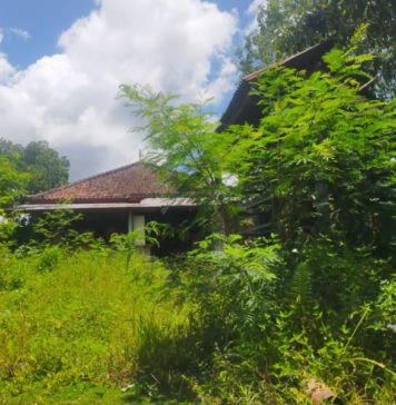 Eks Taman Penitipan Anak Tertutup Semak