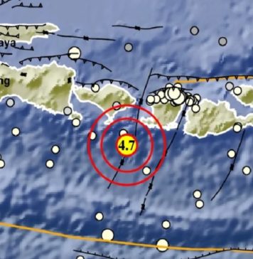 Gempa di Awal Maret 2026, Hampir Seluruh Bali Rasakan Guncangan Kuat