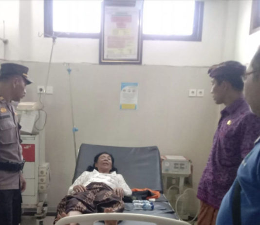 Hendak Sembahyang di Pura Payasan Dusun Temukus, Rombongan Pamedek Diserang Lebah