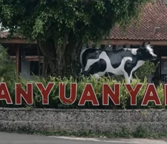 Intip Kisah Banyuanyar, Desa Ramah Lingkungan yang Terus Maju Lewat Pemberdayaan Desa BRILiaN