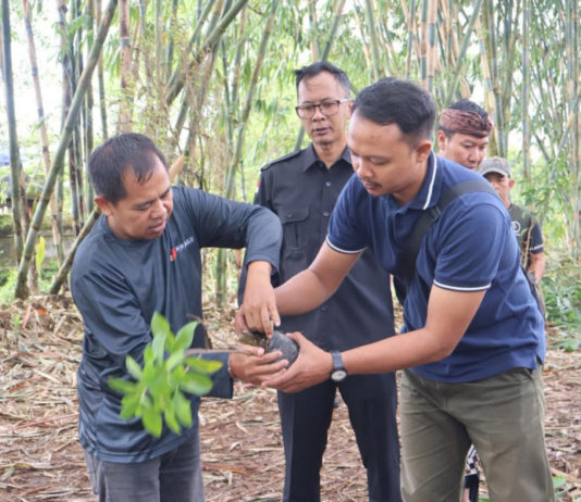Isi Masa Non Tahapan, Bawaslu Tanam Pohon