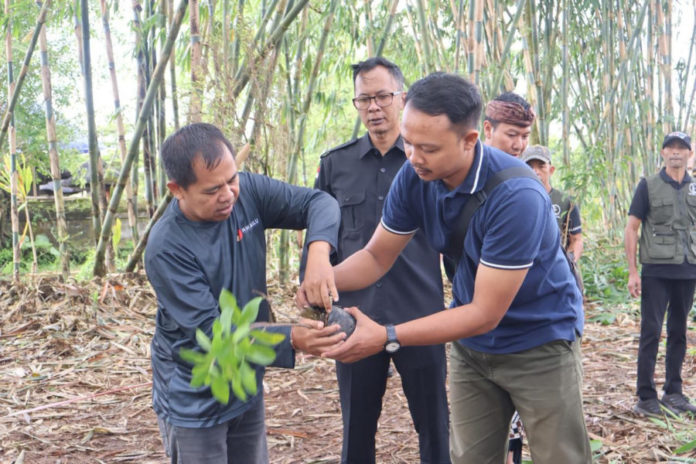 Isi Masa Non Tahapan, Bawaslu Tanam Pohon 1
