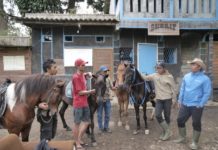 Kampung Koboi Tugu Selatan Wujud Transformasi Desa Berbasis Potensi Lokal dalam Program Desa BRILiaN