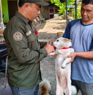 Kasus Rabies Meningkat, Mendoyo Zona Merah