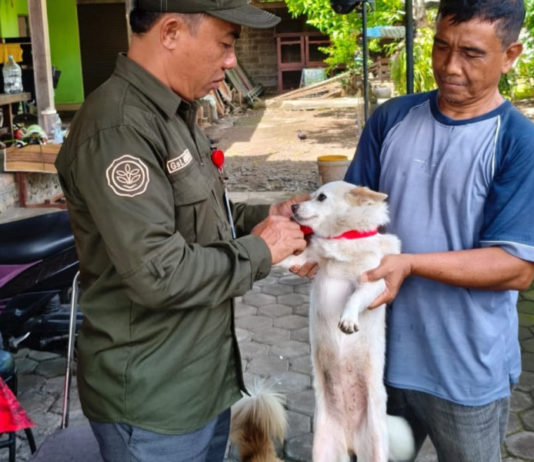 Kasus Rabies Meningkat, Mendoyo Zona Merah