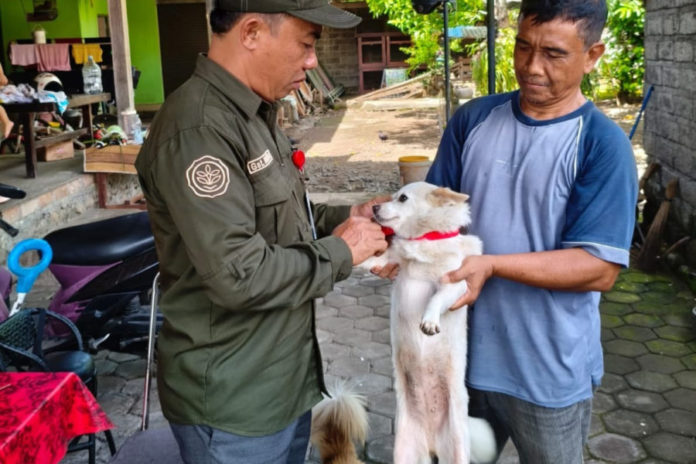 Kasus Rabies Meningkat, Mendoyo Zona Merah 1