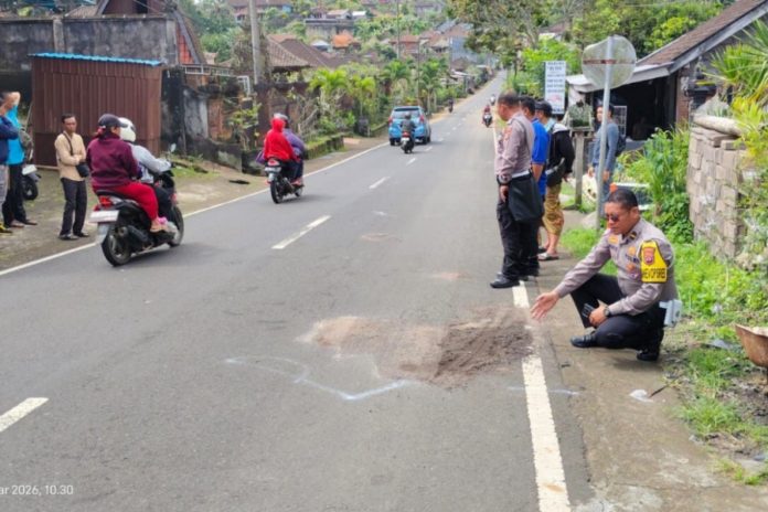 Lansia Meninggal Ditabrak Dump Truk Di Pupuan 1