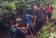 Longsor di Selat Gianyar Ditangani, Irigasi ke Sawah Kembali Normal