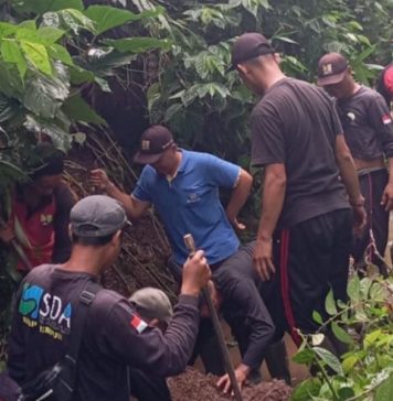 Longsor di Selat Gianyar Ditangani, Irigasi ke Sawah Kembali Normal
