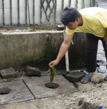 Pedagang Pasar Serangan Ubah Sampah Jadi Pupuk dan Rupiah