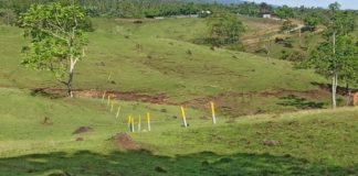 Penlok Tol Kedaluwarsa, Muncul Skema Baru Hapus Seksi Gilimanuk-Pekutatan