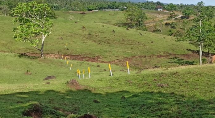 Penlok Tol Kedaluwarsa, Muncul Skema Baru Hapus Seksi Gilimanuk-Pekutatan