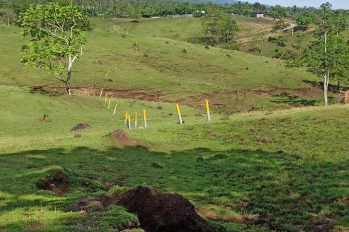 Penlok Tol Kedaluwarsa, Muncul Skema Baru Hapus Seksi Gilimanuk Pekutatan 1
