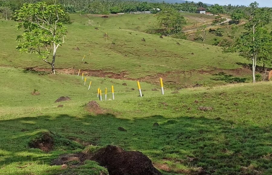 Penlok Tol Kedaluwarsa, Muncul Skema Baru Hapus Seksi Gilimanuk-Pekutatan