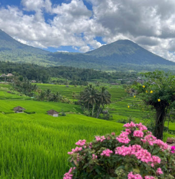 Petani Jatiluwih Gelar Nyepi Sawah, Wisata Tetap Jalan Namun Terbatas