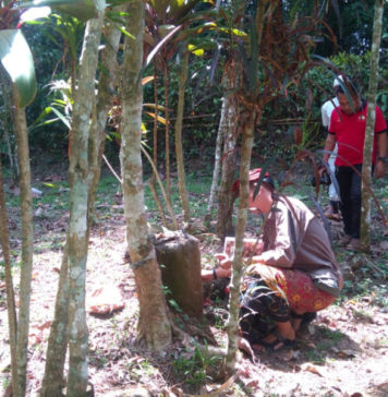 Pura Tanpa Palinggih di Selemadeg Barat Ditetapkan sebagai Cagar Budaya