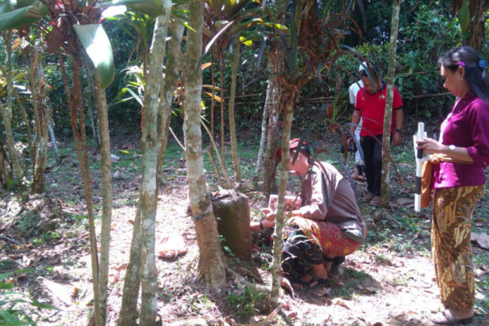 Pura Tanpa Palinggih Di Selemadeg Barat Ditetapkan Sebagai Cagar Budaya 1