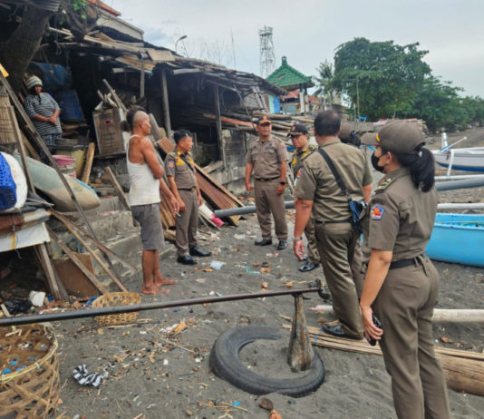 Satpol PP Buleleng Tindak Bangunan Semi Permanen dan Kandang Babi