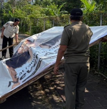 Satpol PP Denpasar Kembali Tertibkan Puluhan Baliho hingga Spanduk di Fasilitas Umum