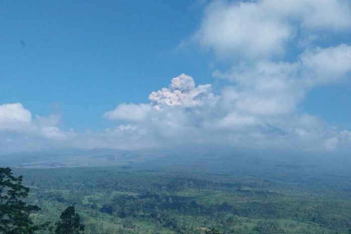 Semeru Erupsi, Luncuran Awan Panas Sejauh 3.500 Meter 1