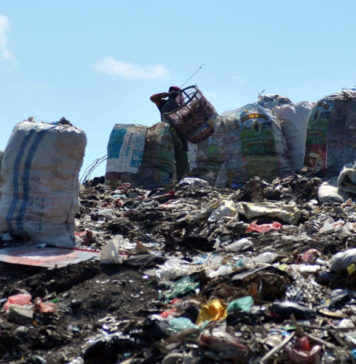 Terkait Rencana Pembatasan TPA Suwung, Ini Skema Pengelolaan Sampah Organik Denpasar