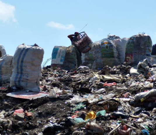 Terkait Rencana Pembatasan TPA Suwung, Ini Skema Pengelolaan Sampah Organik Denpasar