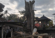Terseret Tali hingga Terjatuh Saat Tebang Pohon di Pura, Pria Jatim Meninggal