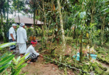 Warisan Megalitik Marga Telu Akan Ditetapkan Jadi Cagar Budaya