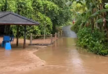 Hujan Tiga Jam, Sejumlah Desa di Mendoyo Terdampak Banjir
