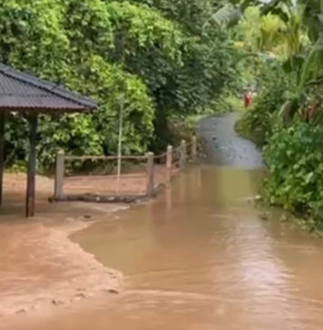 Hujan Tiga Jam, Sejumlah Desa di Mendoyo Terdampak Banjir