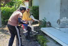 Angka Gigitan HPR Masih Tinggi, Dinas Gebyar Vaksinasi