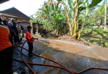 Cuaca Ekstrem Picu Banjir, Longsor, dan Pohon Tumbang di Jembrana