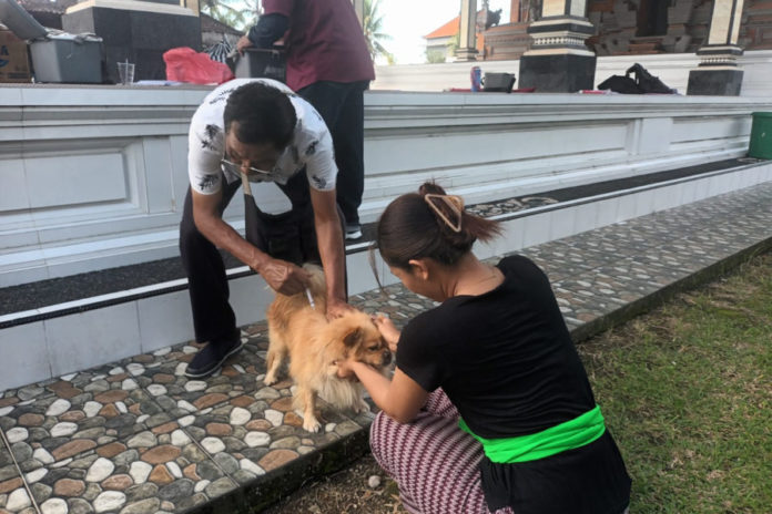 Distan Gencarkan Vaksinasi Rabies Di Banjar Tegenungan 1