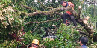 Empat Bulan, Rp 1,5 Miliar Anggaran Kebencanaan BPBD Tabanan Terealisasi