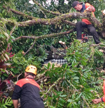 Empat Bulan, Rp 1,5 Miliar Anggaran Kebencanaan BPBD Tabanan Terealisasi