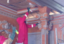 Evakuasi Tawon Dominasi Tugas Damkar Tabanan, Capai 35 Kasus Awal 2026