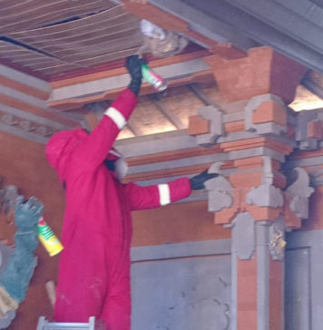 Evakuasi Tawon Dominasi Tugas Damkar Tabanan, Capai 35 Kasus Awal 2026