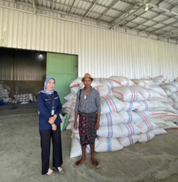 Kisah Inspiratif Mantri BRI di Lombok, Sosok Perempuan Berdaya Gerakkan Ekonomi Masyarakat Sekitar