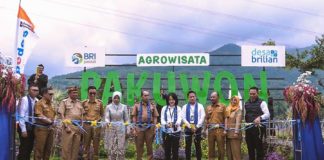 Lewat Program Desa BRILiaN, Desa Pajambon Jadi Contoh Transformasi Ekonomi Desa Berbasis Potensi Lokal