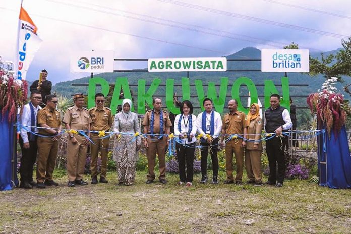 Lewat Program Desa BRILiaN, Desa Pajambon Jadi Contoh Transformasi Ekonomi Desa Berbasis Potensi Lokal 1