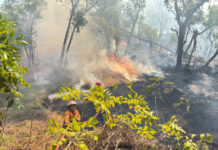 Peralihan Musim, BPBD Karangasem Imbau Warga Waspadai Kebakaran Lahan